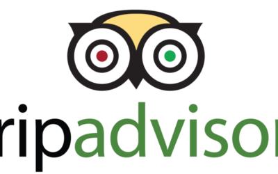 Avis client, commentaires, Tripadvisor évolue